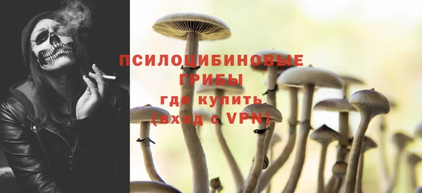 spice Аркадак