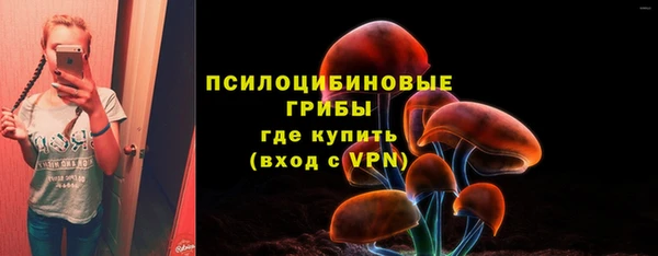 PSILOCYBIN Алексин