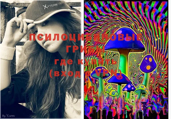 PSILOCYBIN Алексин