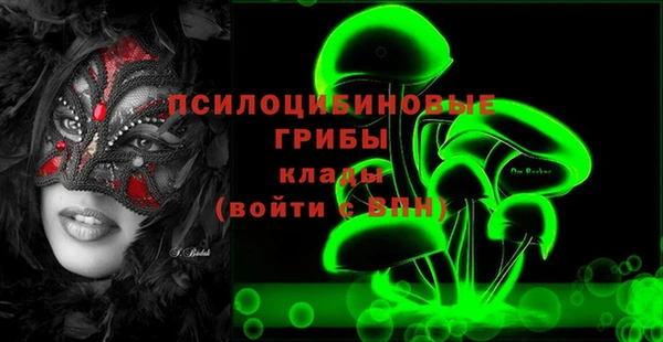 PSILOCYBIN Алексин