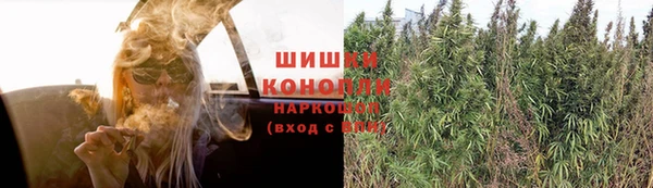 амф Алексеевка