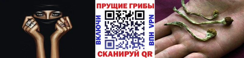 гидра зеркало  Учалы  Галлюциногенные грибы мицелий 
